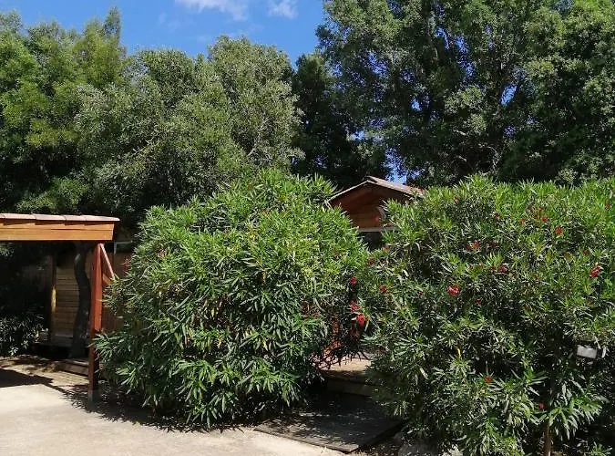 Σαλέ Les De Palavesa *