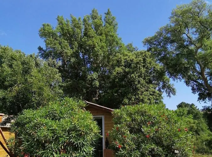 Alpehytte Les De Palavesa